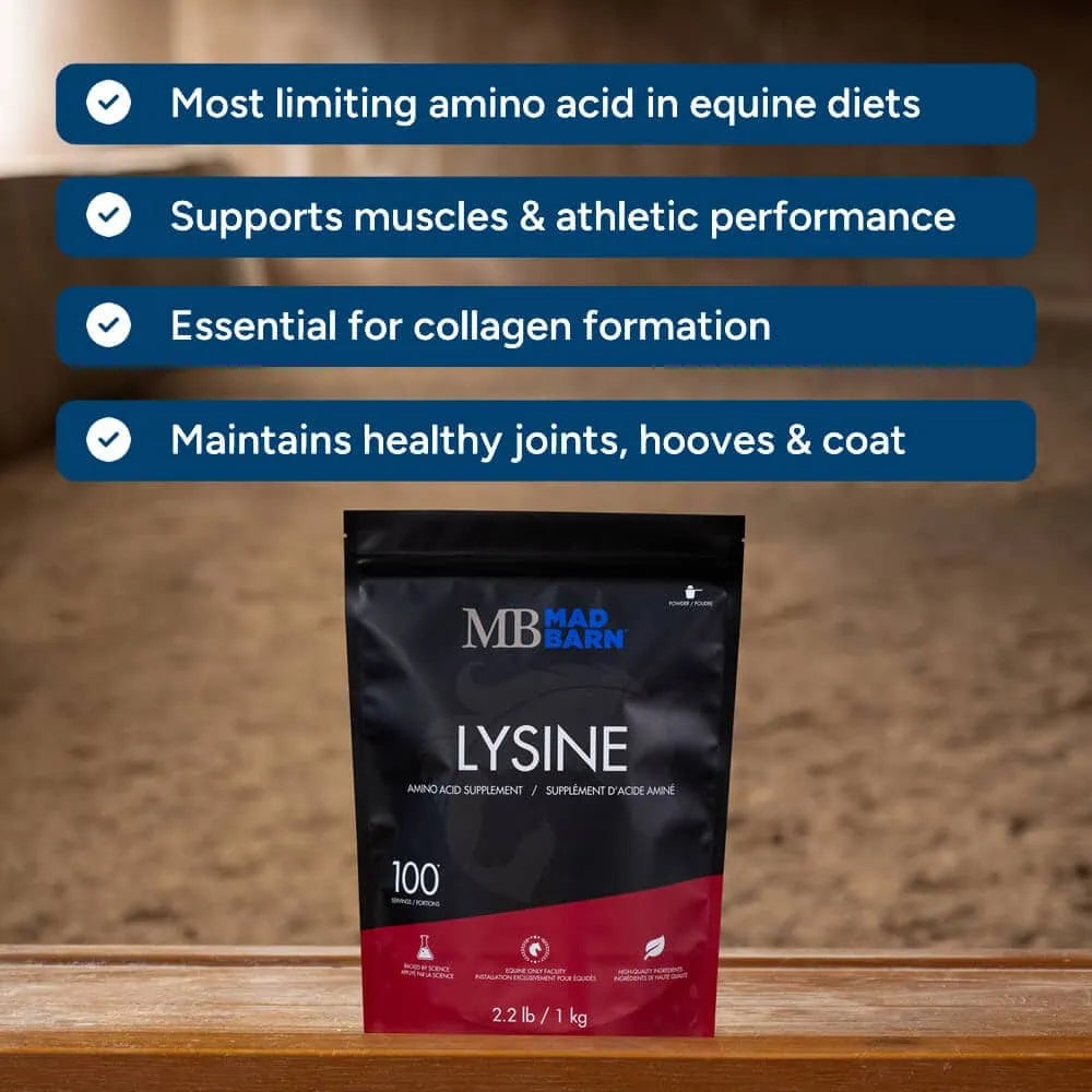 L-Lysine