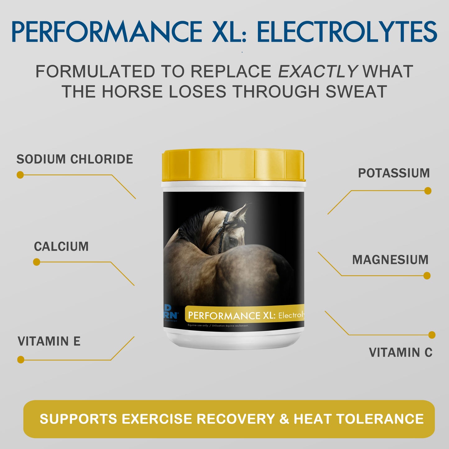 Performance XL: Electrolytes