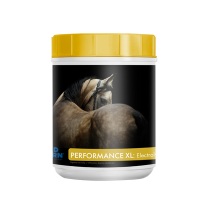 Performance XL: Electrolytes