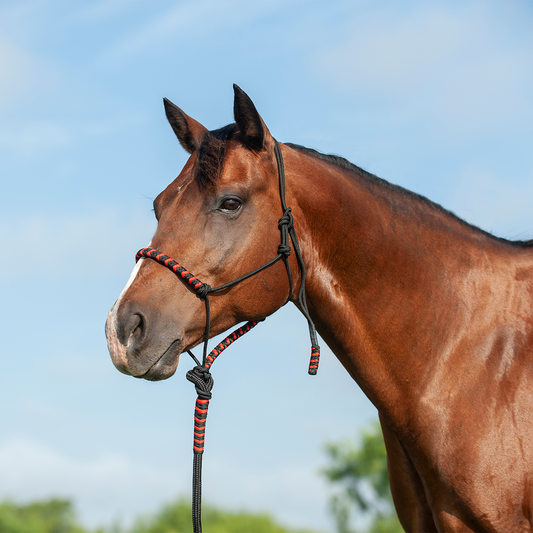 Premium Rope Halter - Two Tone